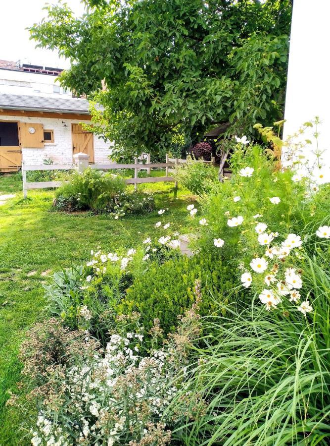 Cozy Airport Homestay Vecses